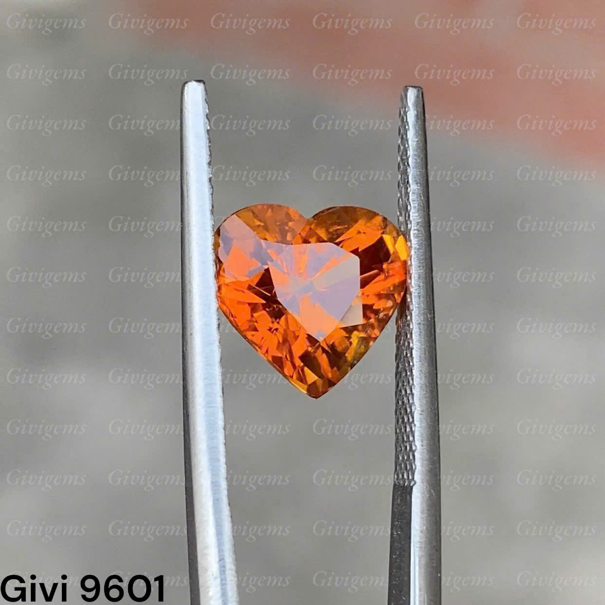 z7288526852069_8b1c07586c59491ce30108d3f7600fb9