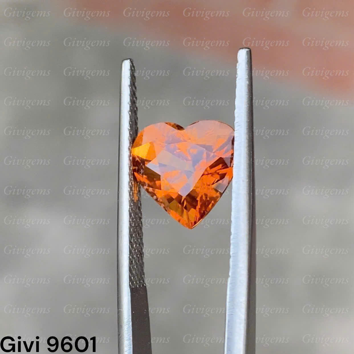 z7288526856981_51ce44f9a001e404dbb319cdd14da891