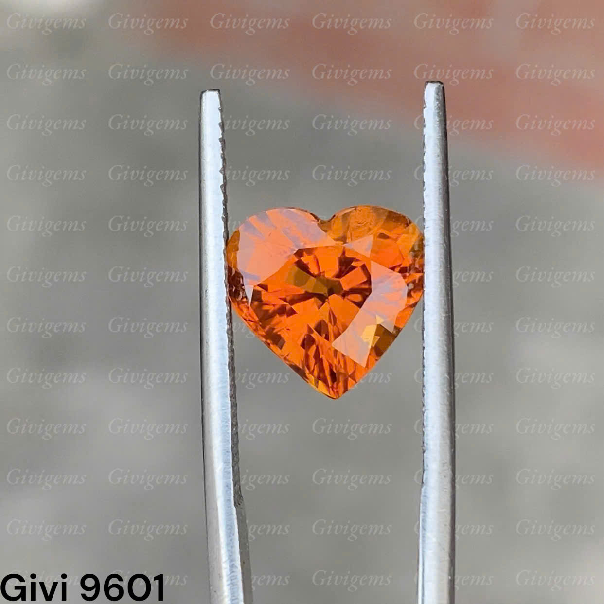 z7288526863120_227312bb8aa8a8584c4300a7e45eb4ae