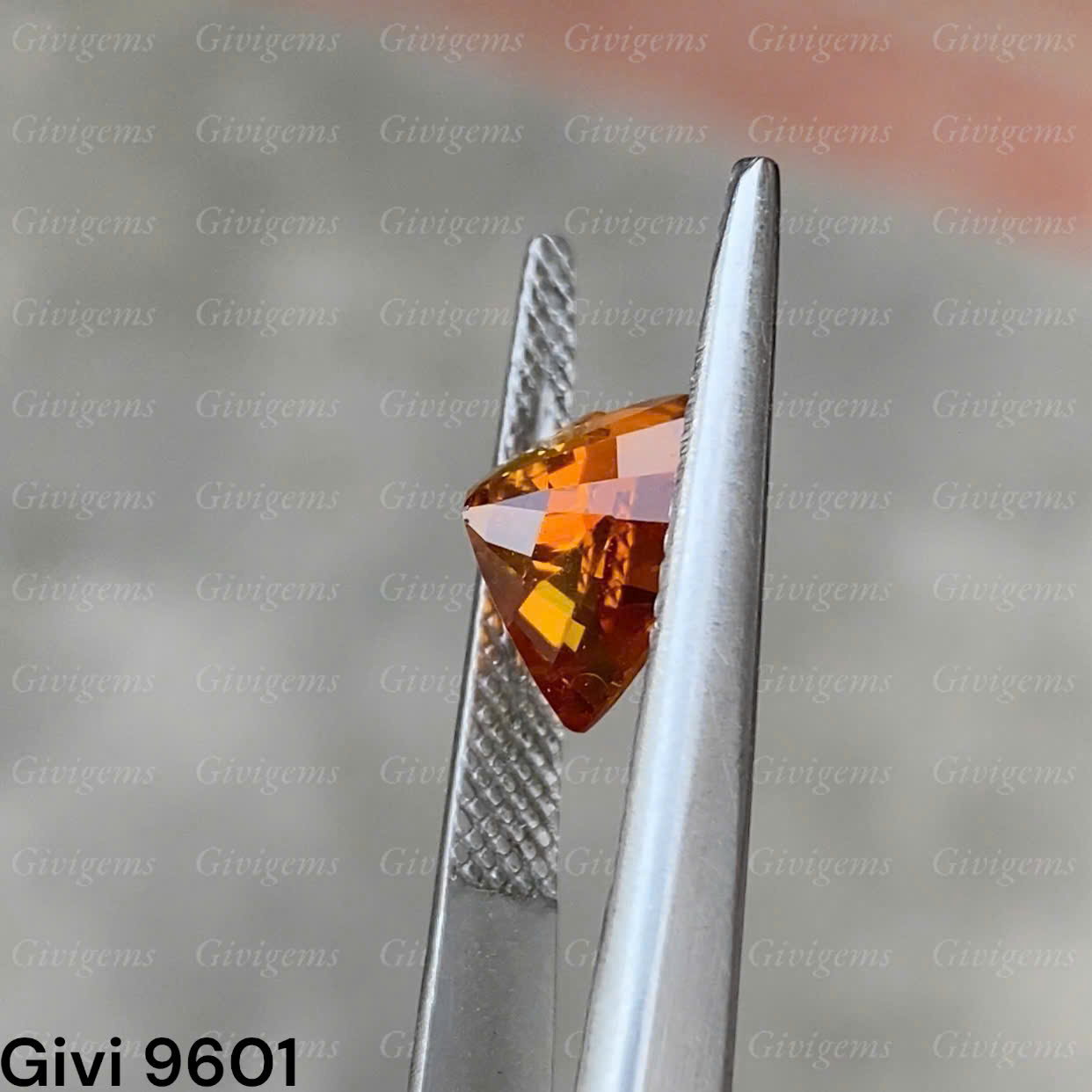 z7288526871057_94134fcd4d76aa5c04b7afc8c5c888d3