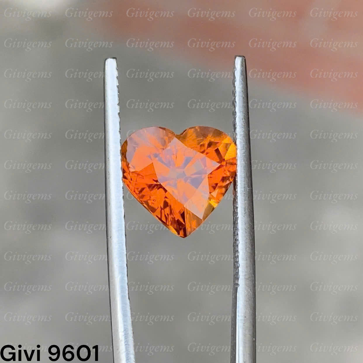 z7288526876887_1dae65d3bad2584989465aaebe35219e