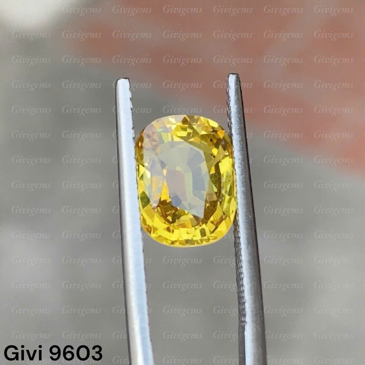 z7288577993477_2257e5164e903df5cfa2b33cae76054f