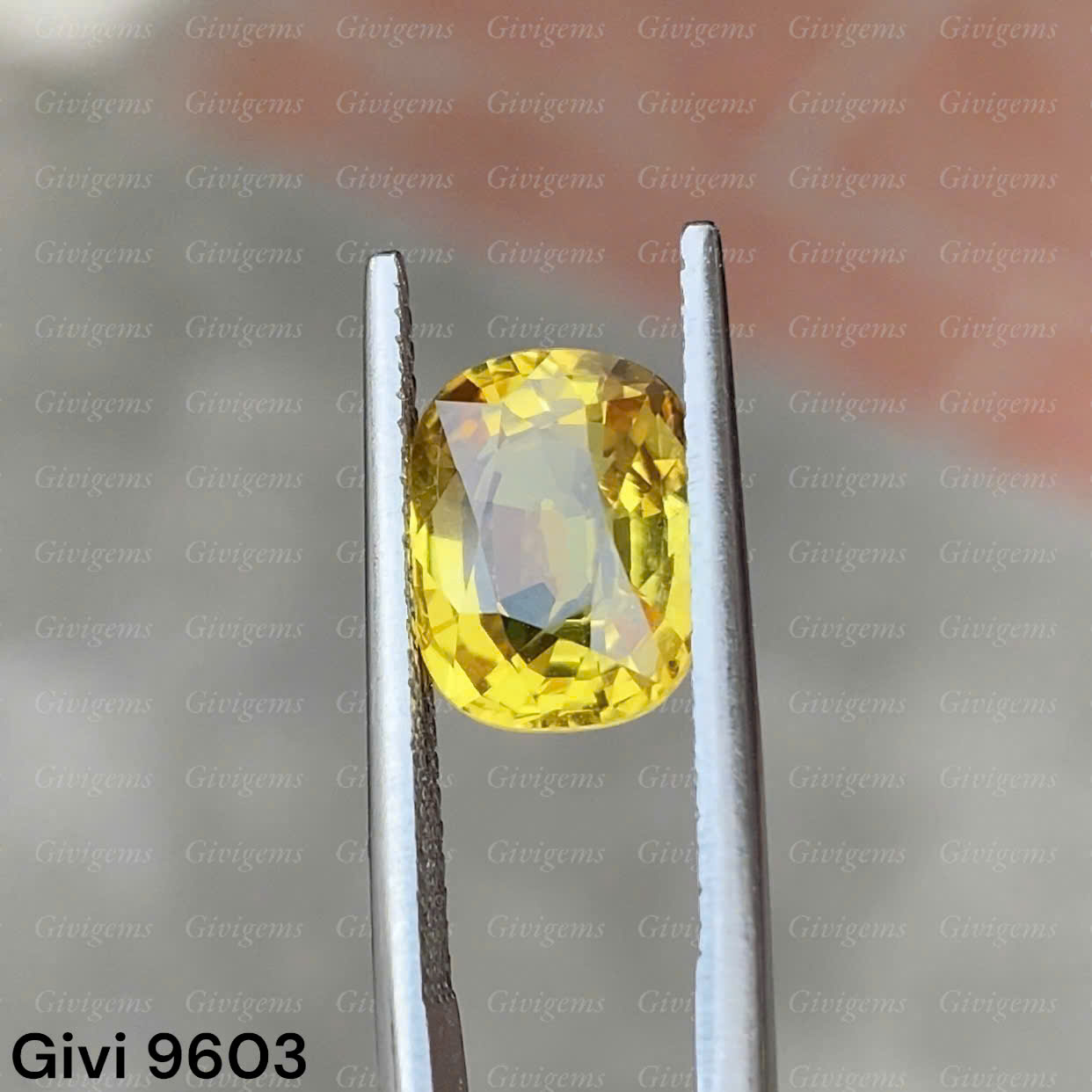 z7288578000081_8a8f186bc4555bc532bfd423f189314a