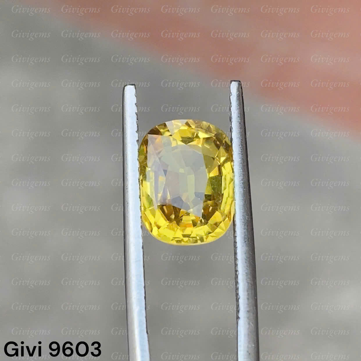 z7288578003897_a7b039261b4e59d70a0ffd08468bb6a7