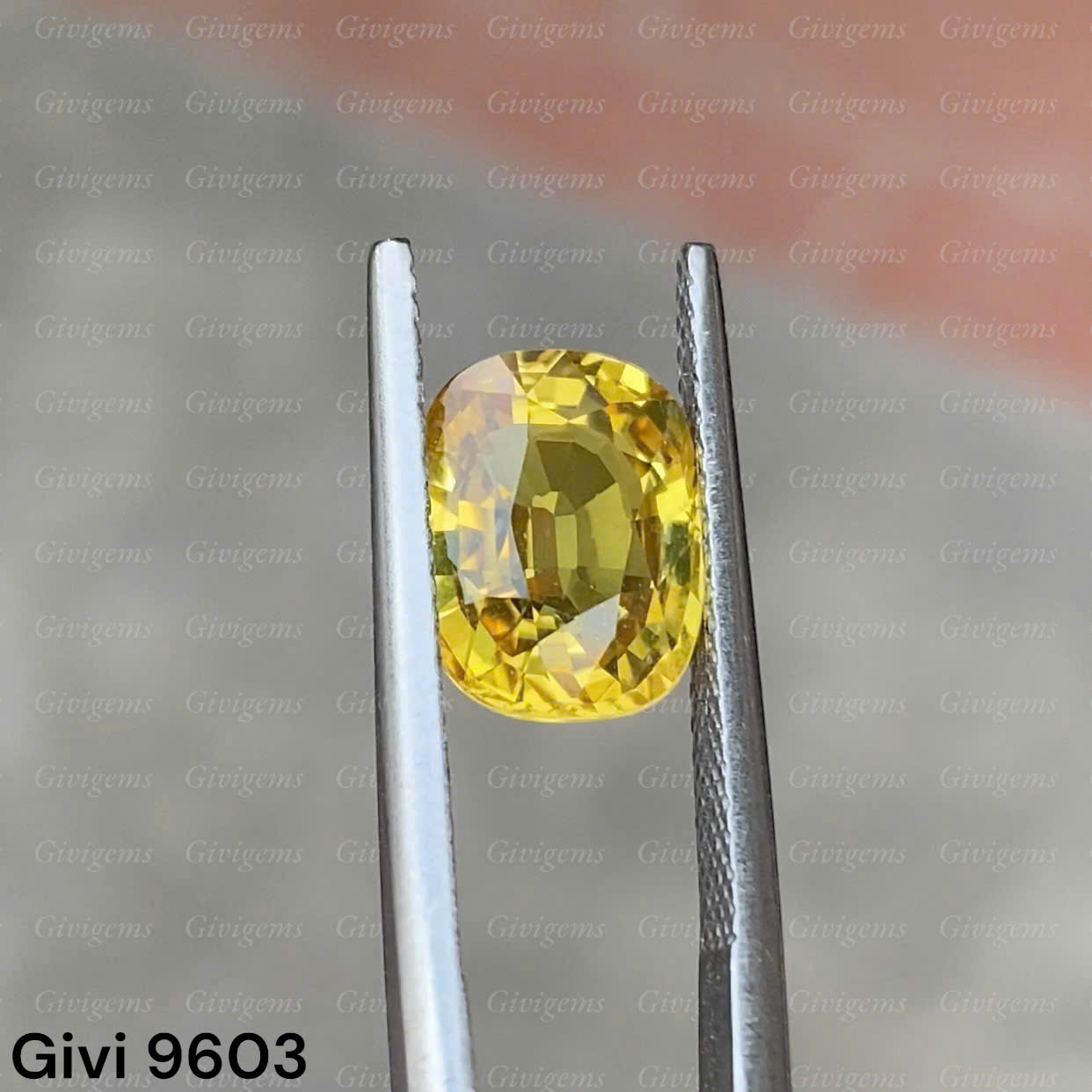 z7288578012408_e1227999bb5b852e3c3171f11d0d9d74