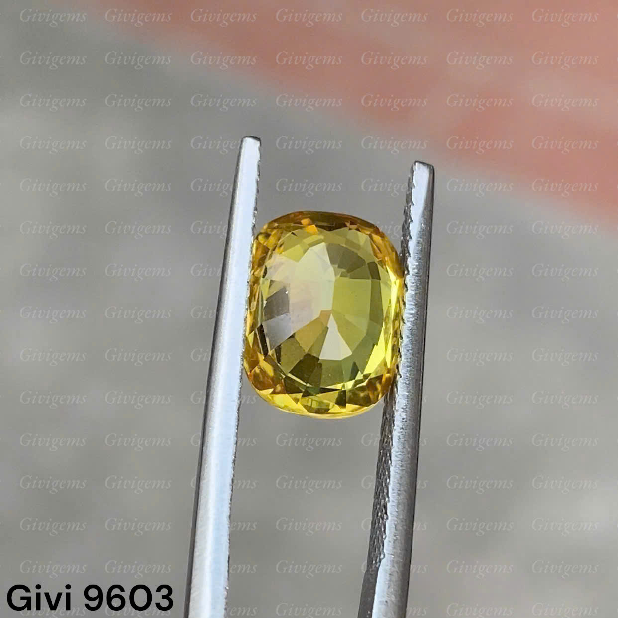 z7288578019190_79698f0038346eea88855bcb3bd1b1f7