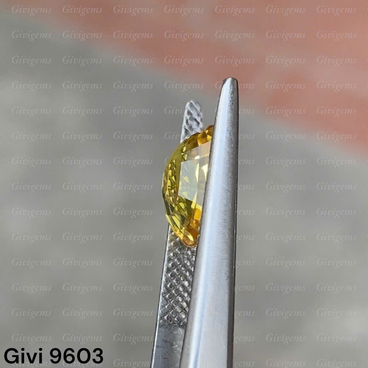 z7288578024991_07a2d763ed0a55667537055fb957990b