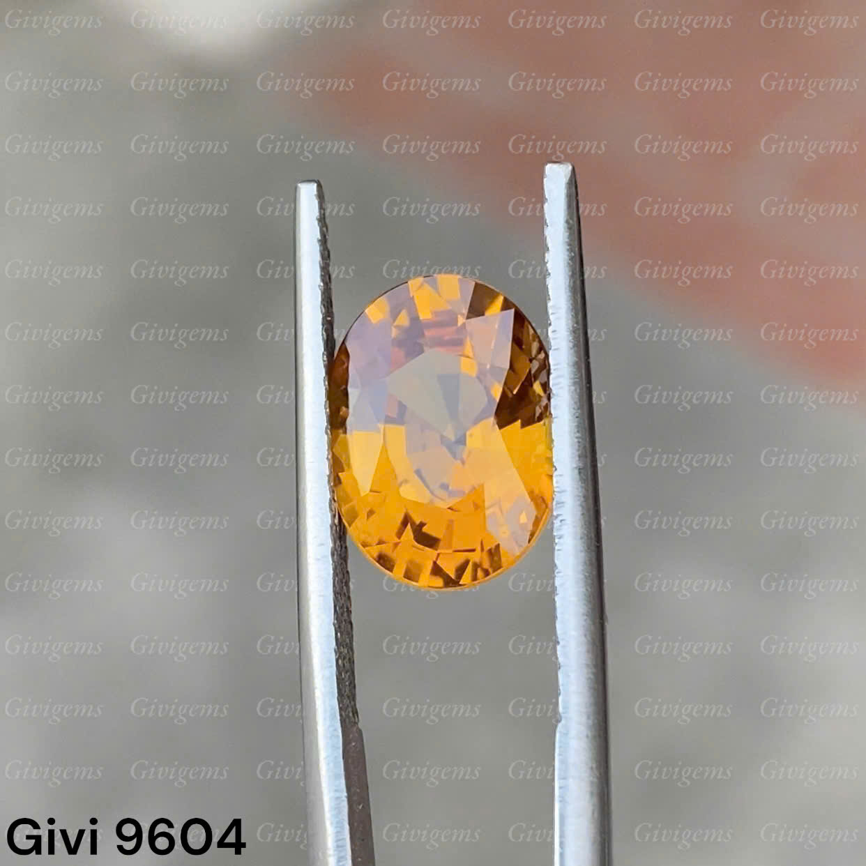 z7288623573127_897fb6b0731d4a8a300d667940aa6c71