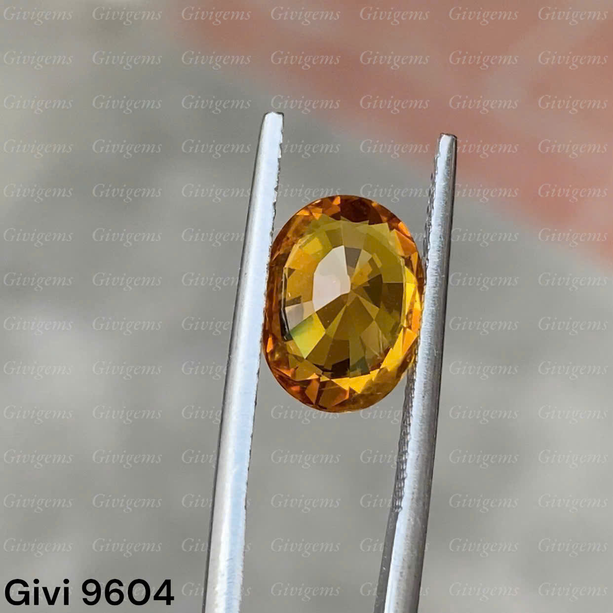 z7288623579879_e3138b00da3fabf8d8b373067b1e642f