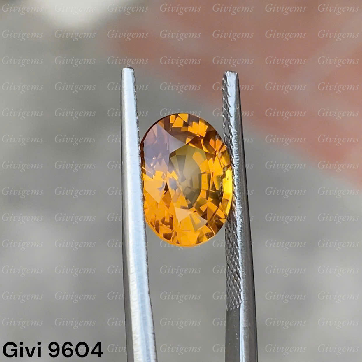 z7288623588276_70dee7aee4400e6a4e108316e4097b75