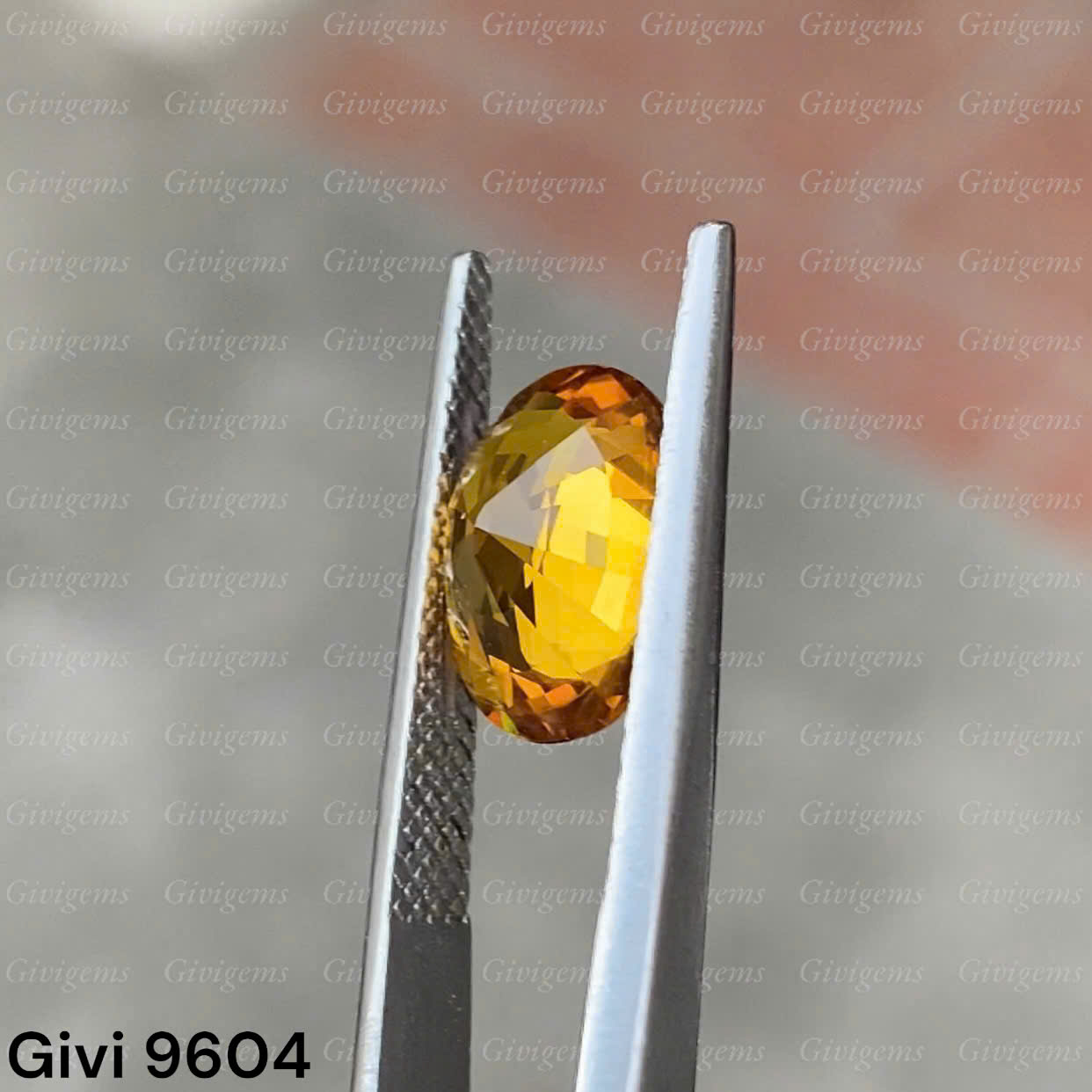 z7288623595108_a6c95edb29018c5d27aecb00787000b4