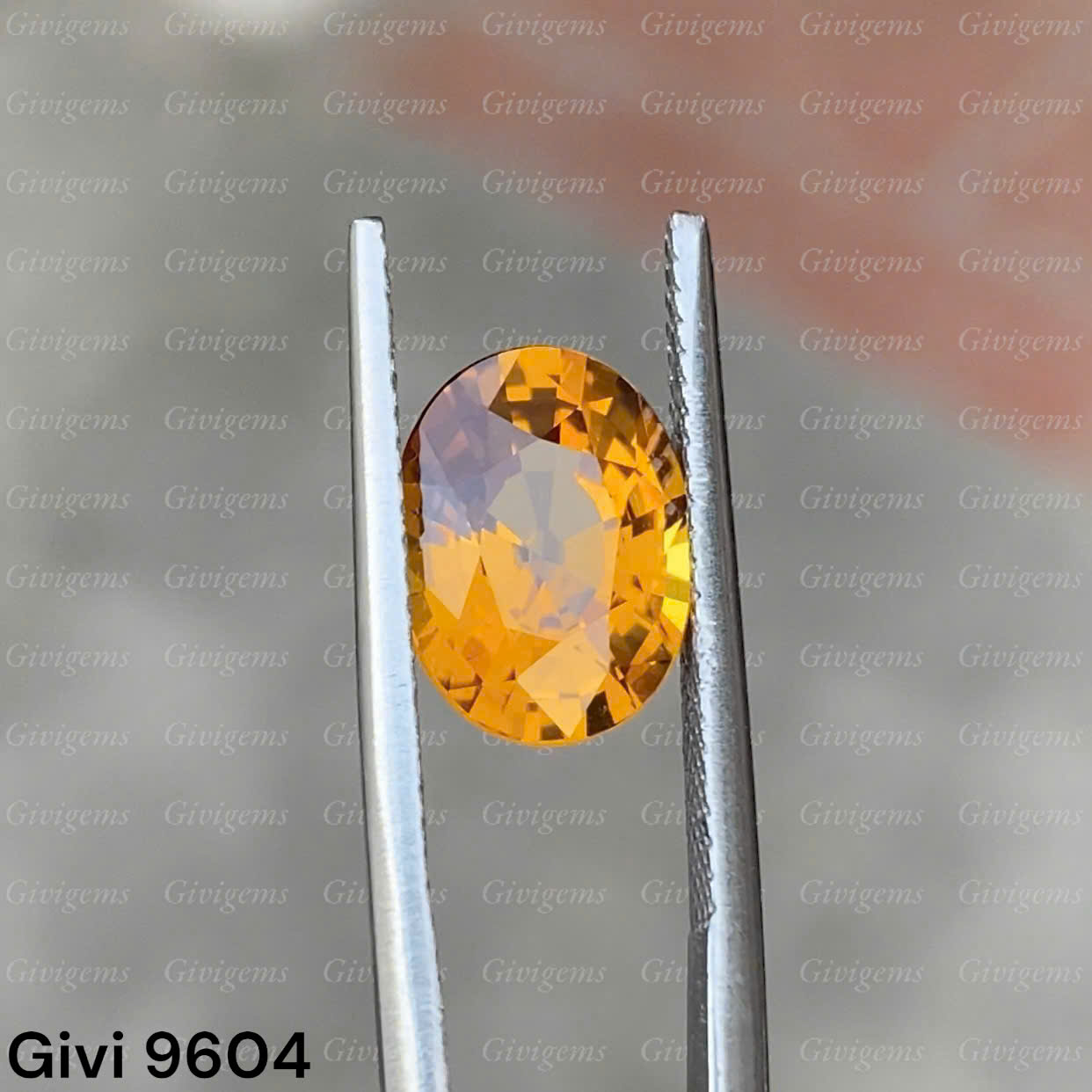 z7288623600731_ef2825d5c9330f8fdf994db0d7e16704