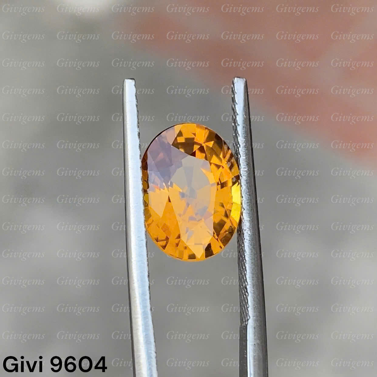 z7288623610041_7eb49d1aad3c9c23ab757362e1a4eeae