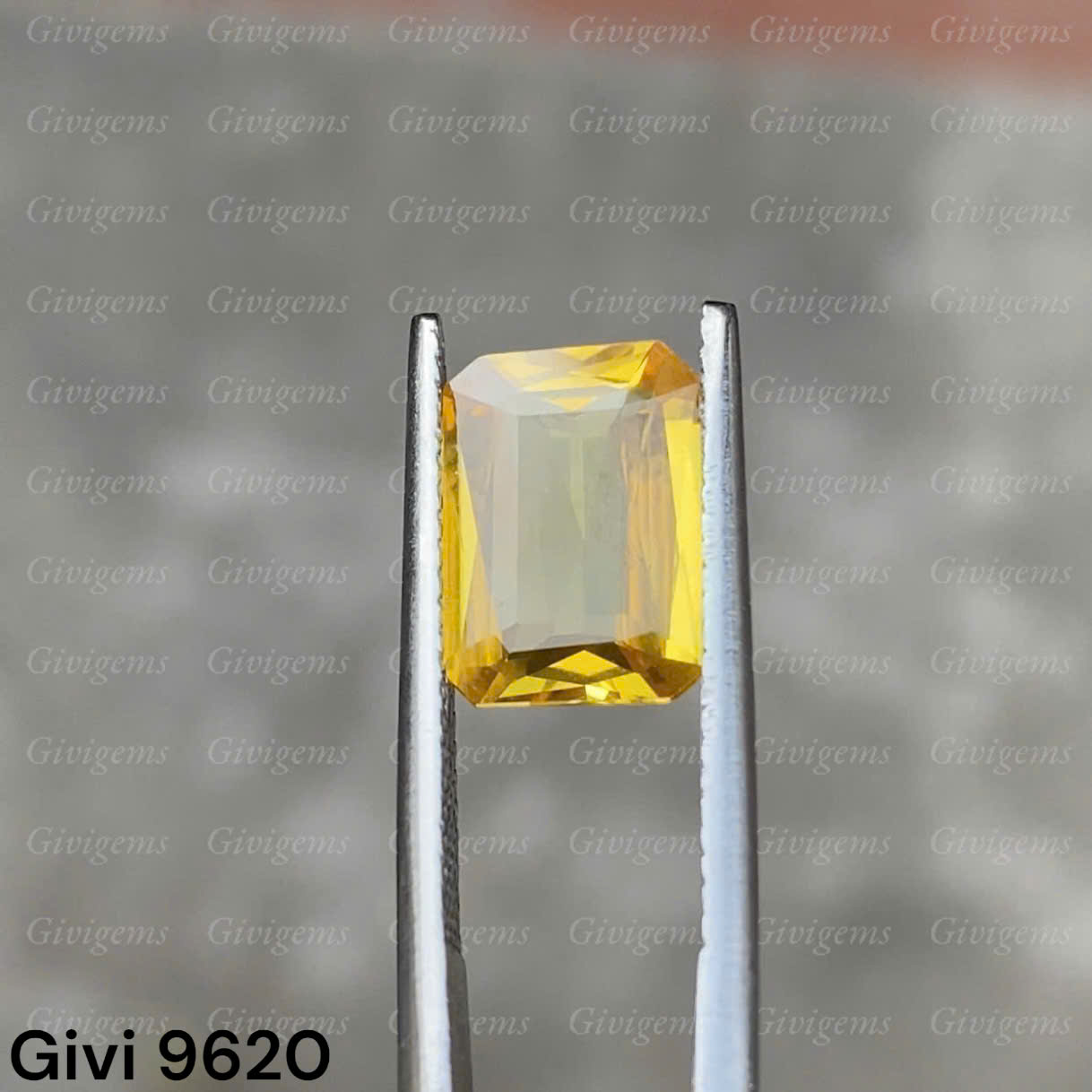 z7333383496414_378031596a281d2d3693e2a459d67e8b