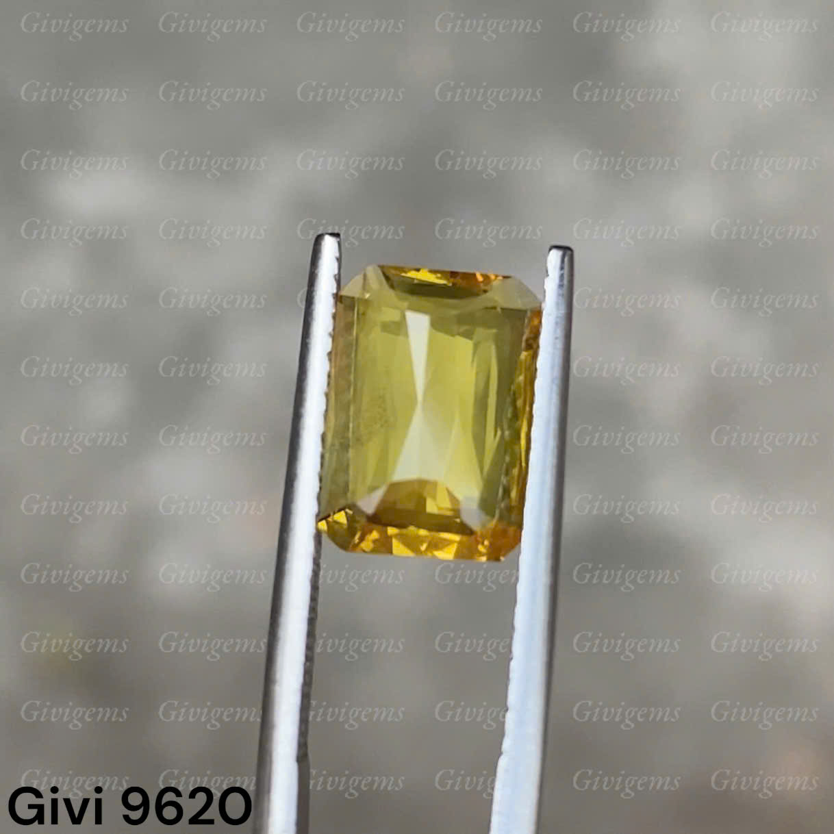 z7333383502089_a40c23d4e6aadf74832553a156b58cca