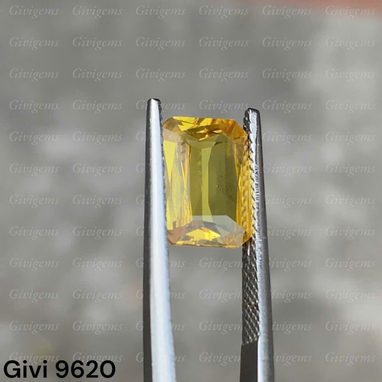 z7333383508376_8b351609dfe6b23ab9f71f42d85a4cb7