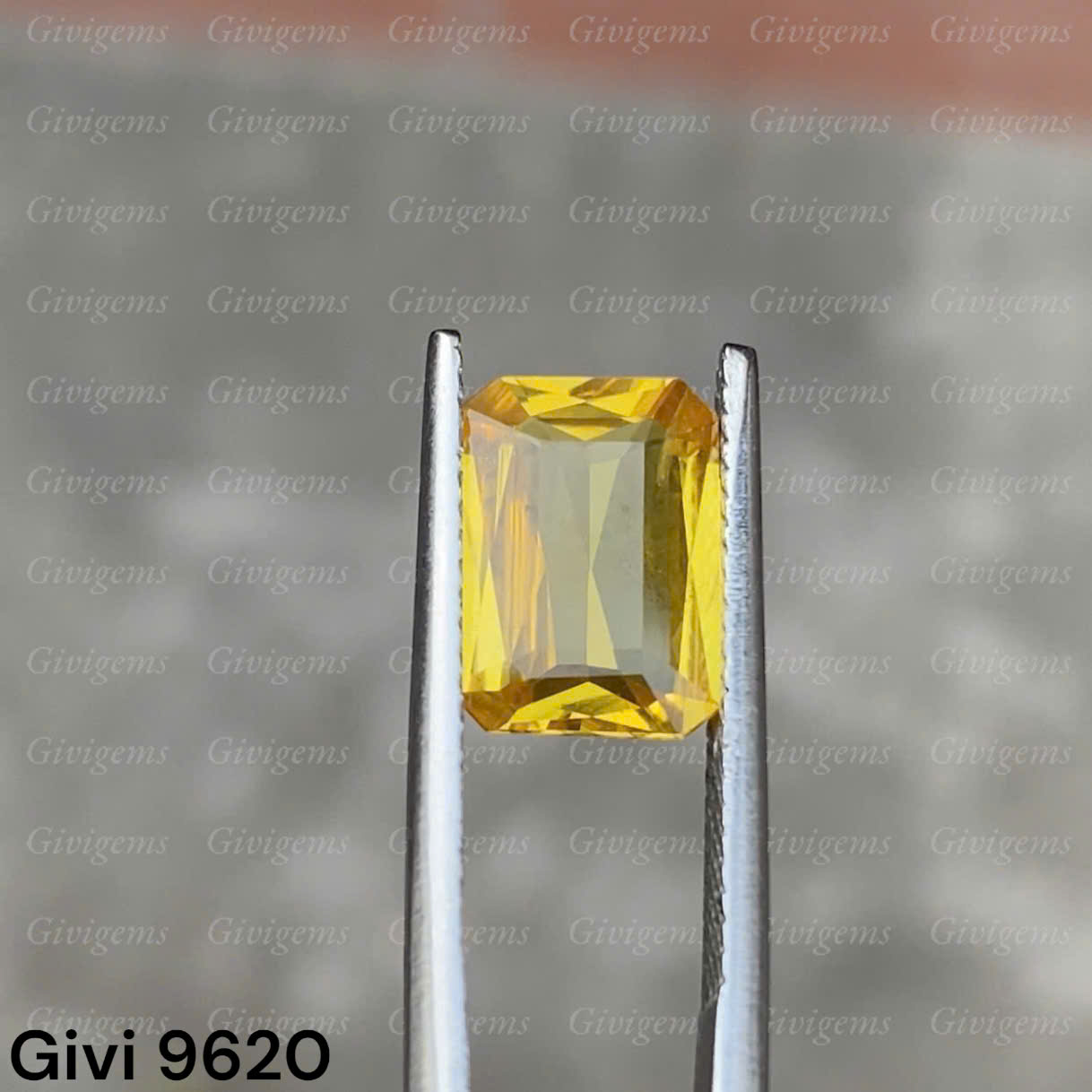 z7333383513625_9aada66f2dbf3d34f5e0ee131955826f