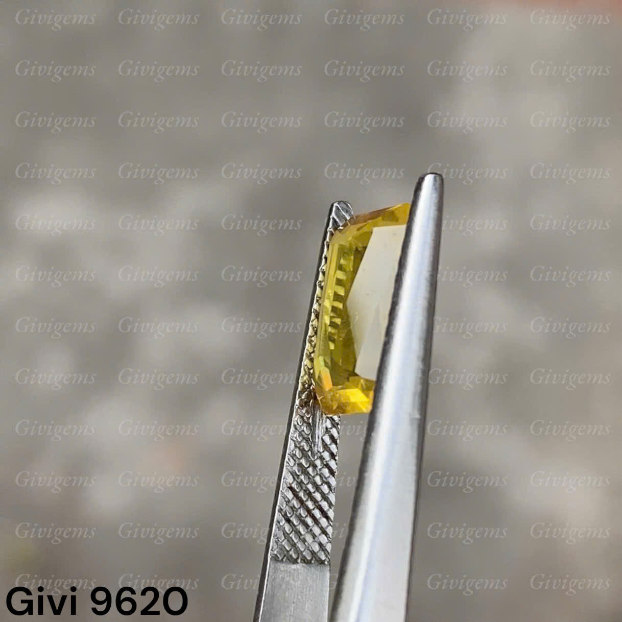 z7333383520495_77984f12098a63f162eb7a45c09c5ff0