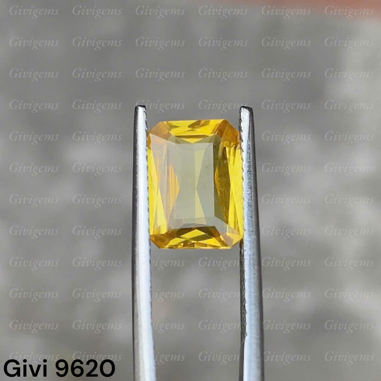 z7333383526422_ca59ffbc10b00648ef39e9d3768eb477