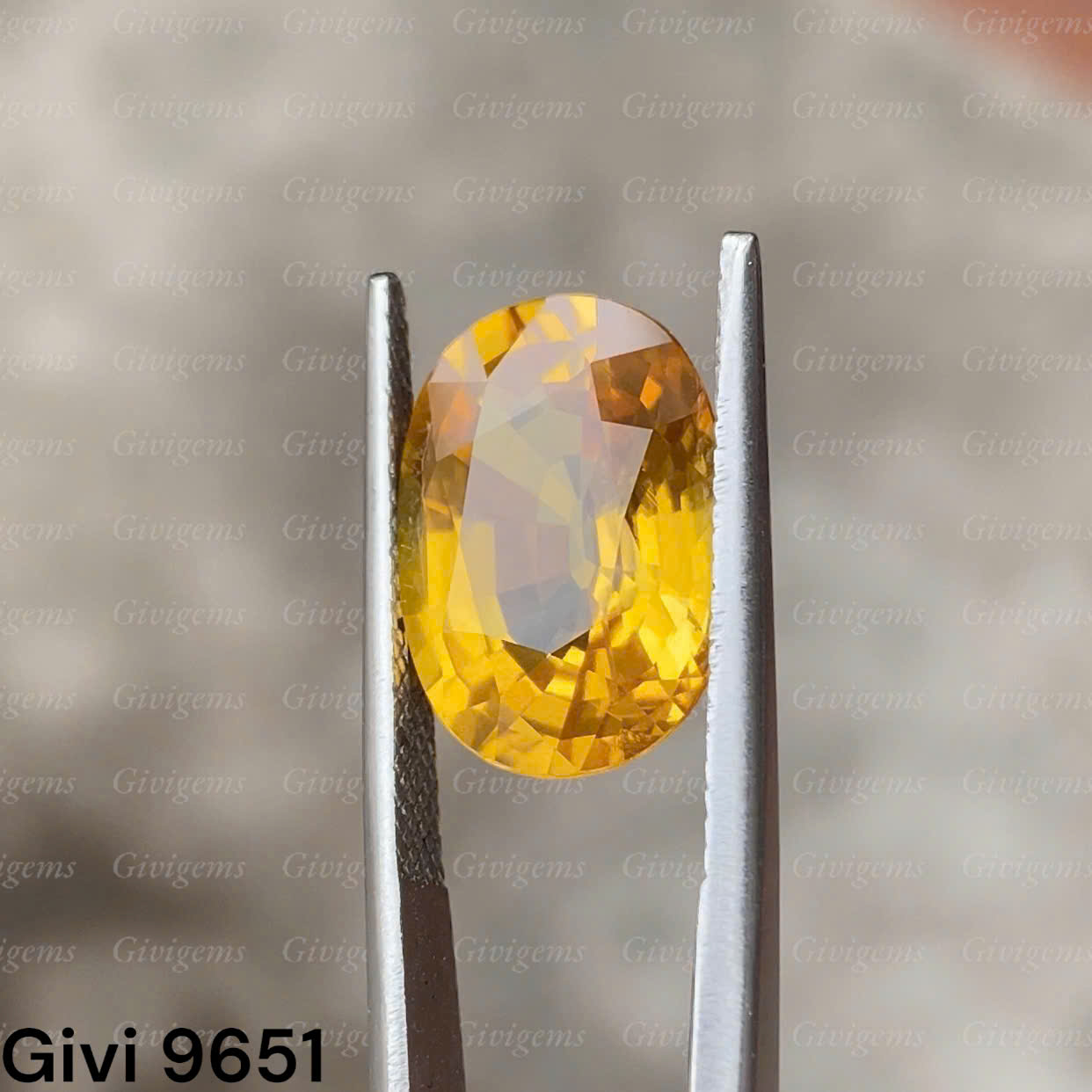 z7453537305007_d758190e5c87287ab8613e8db3a83d4d