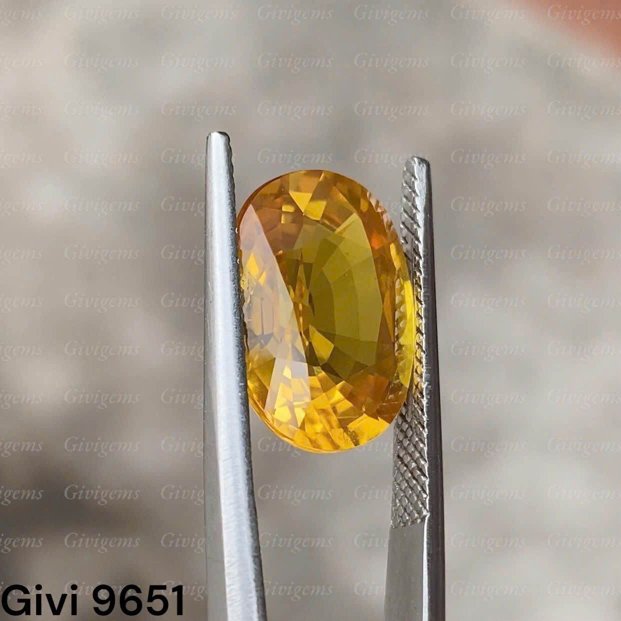 z7453537324823_bc6c50d5ad17cfae75daaa5767494532