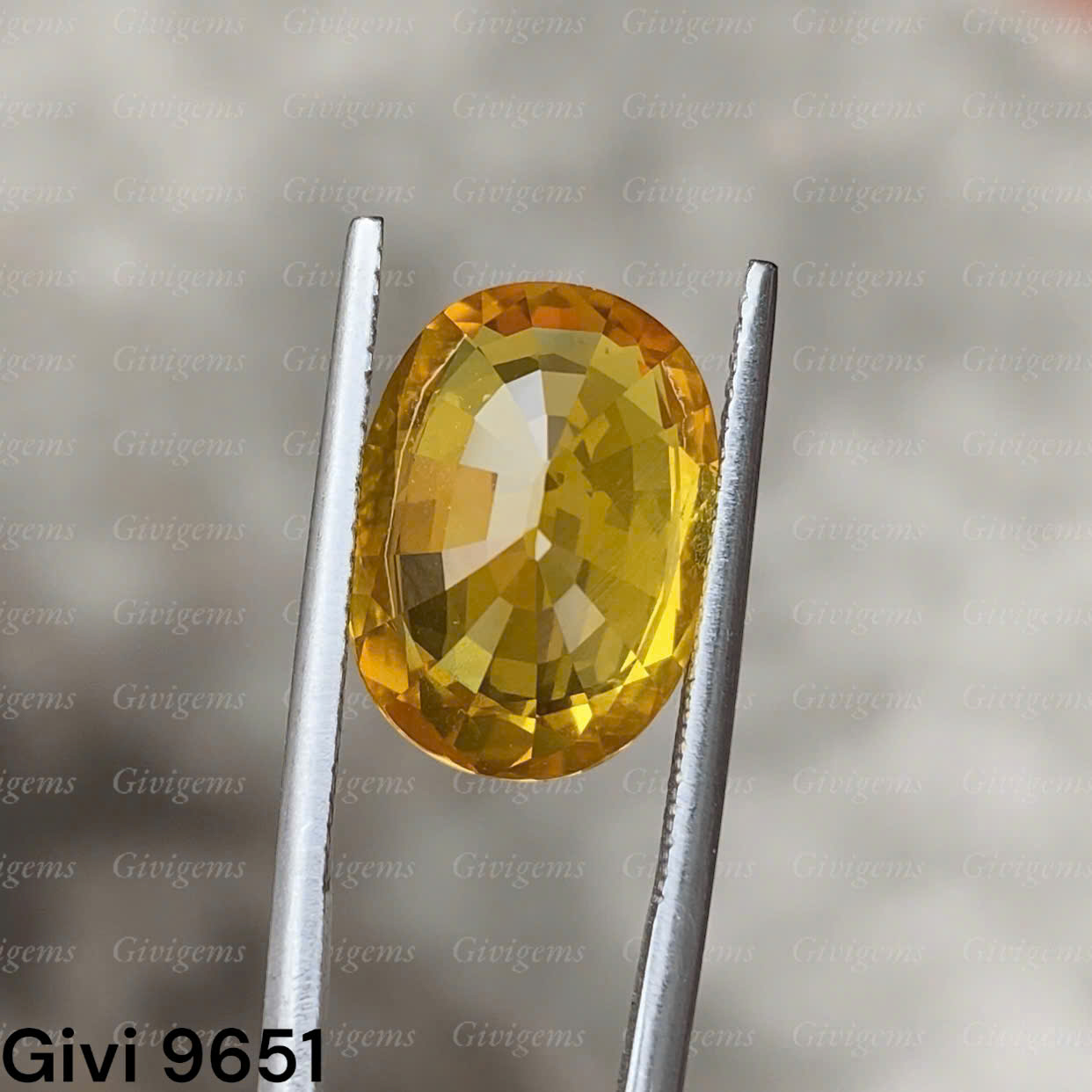 z7453537328043_1c6a35e5742051cd5032393b33eff703