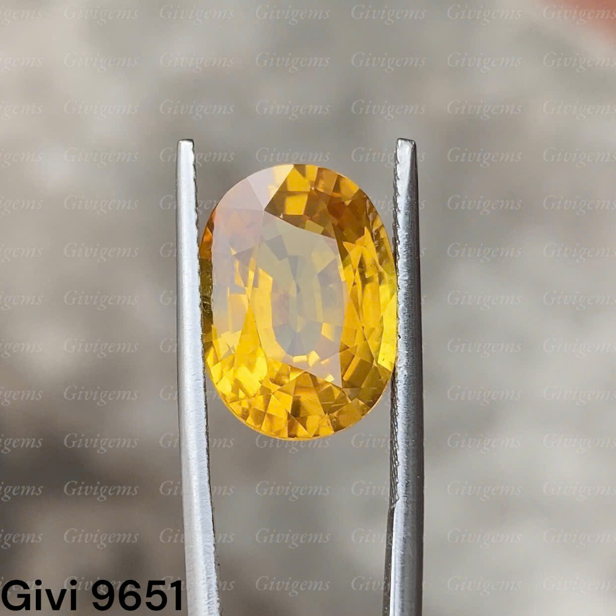 z7453537336238_c11a9008a75684c5873c0afb70bf21aa