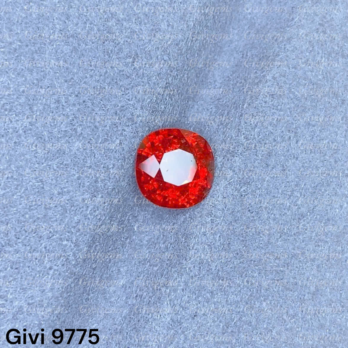 z7932563416234_d084108a202e2d183fc5c50b8bd089a2
