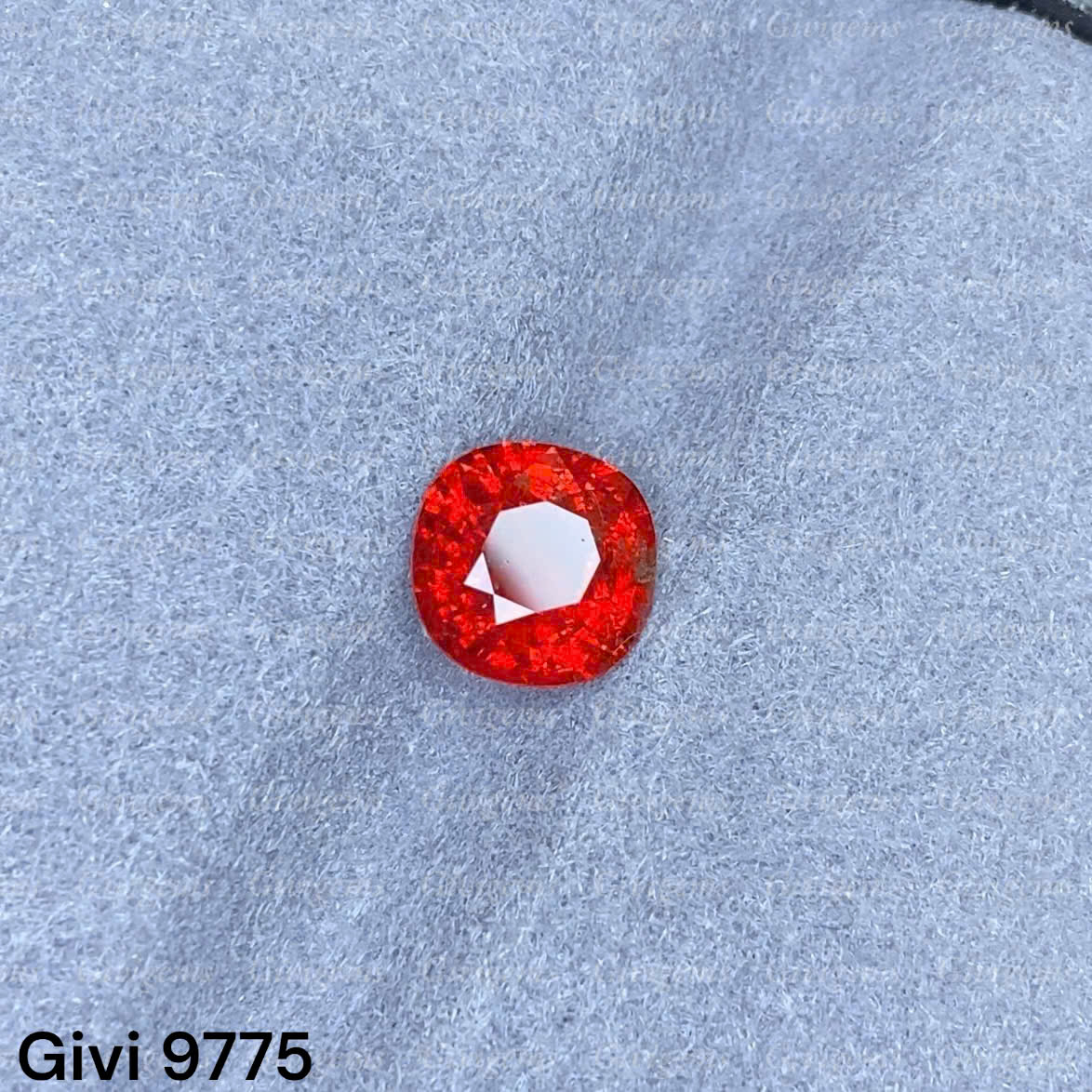 z7932563429969_d176329756ab8db765b897e3f384dd73