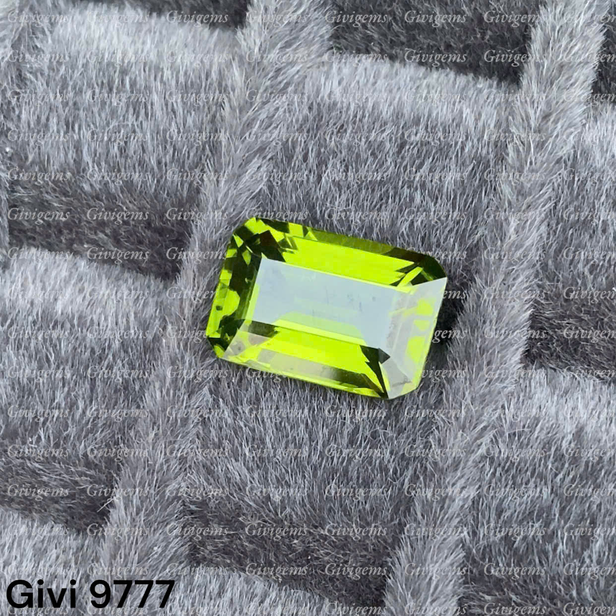 z7996644206033_30d2a2726e506922ba5e0716ee2b1780