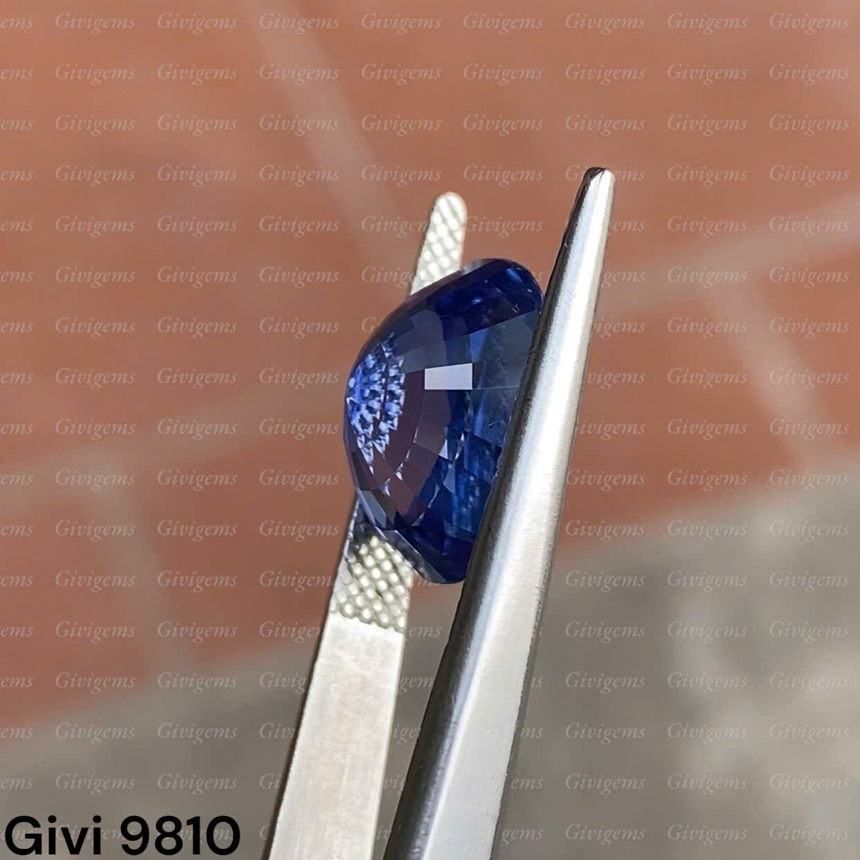 z8077742180138_45f676c8adcd51c41c1558660bbfcffb