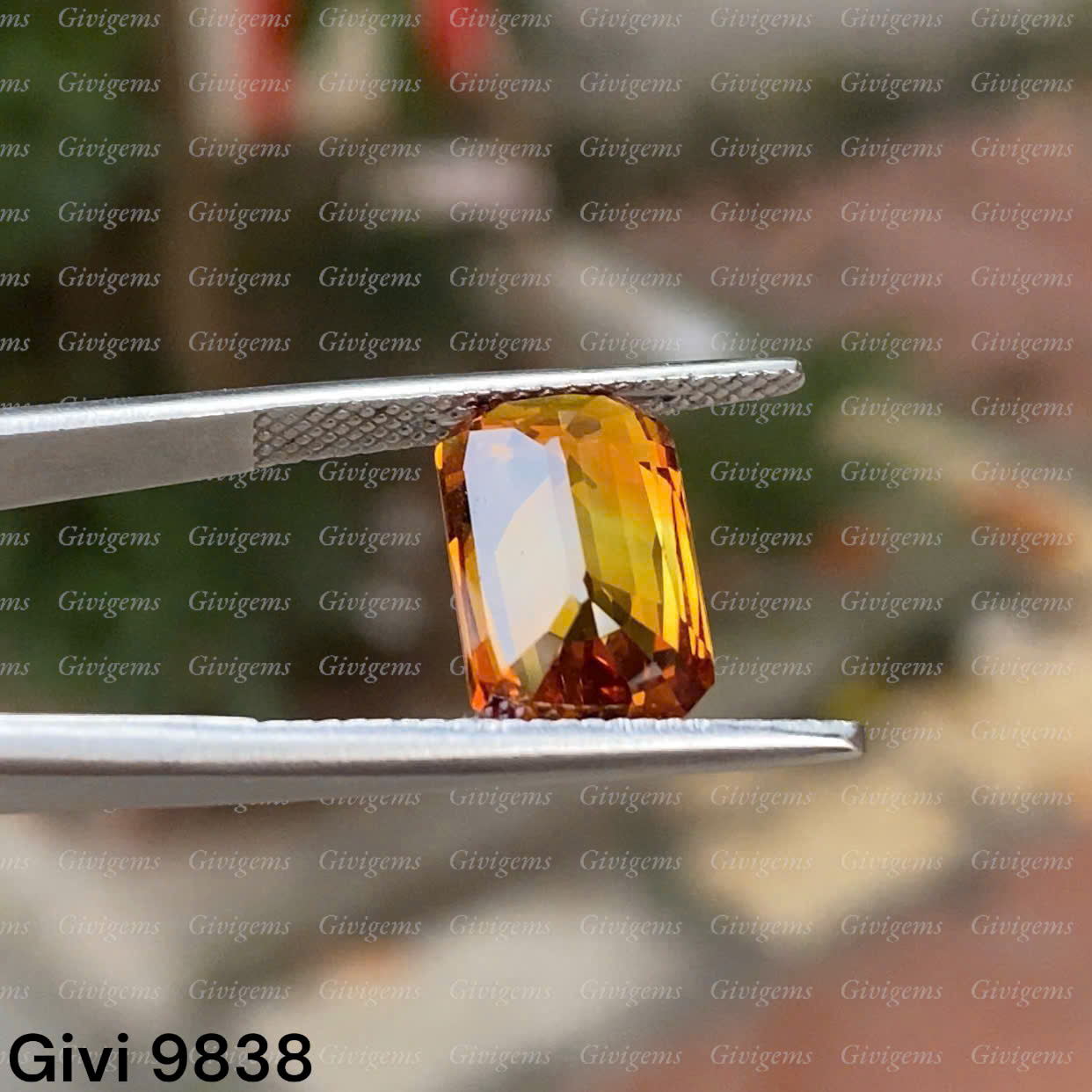 z8206990157686_98e999f523e621edb343f1030ca0ff2f