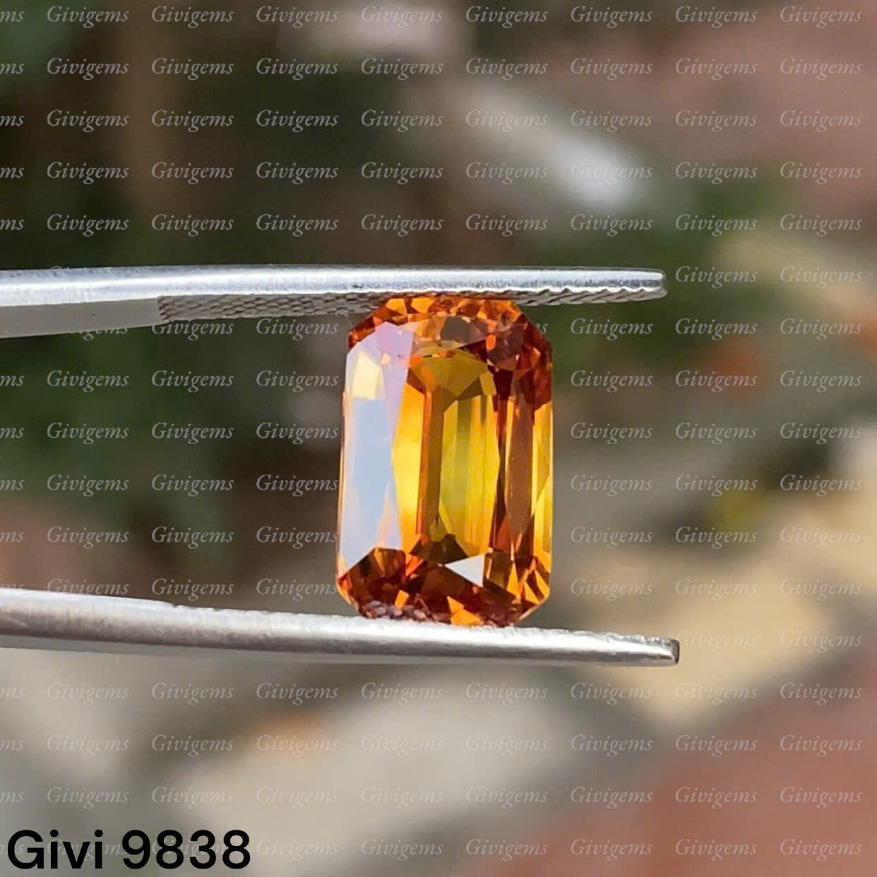 z8206990171997_08716a435e1d14477f21de36df85ce85